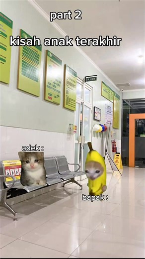 Terminal Lucidity Kucing: Kisah Anak Terakhir