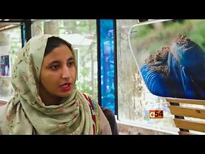 Herat Burqa Exhibit