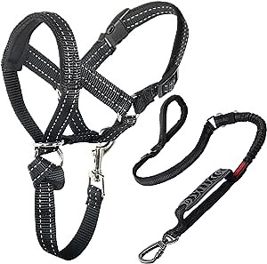 Head Collar for Dogs, No Pull Head Halter Stops Pulling, Durable Dog Walking Training Snout Harness with Strong Bungee Dog Leash for Medium Large Extra Large Dogs