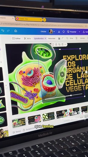 Crea Presentaciones Dinámicas sin Animaciones en PowerPoint