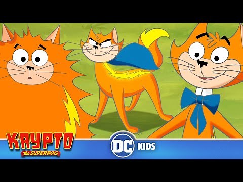 Krypto The Superdog | The Best Of Streaky The Supercat 🐱 | ‪@dckids‬