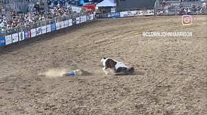 485K views · 3.8K reactions | John Harrison and his clown family are...