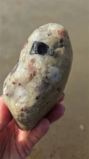 Pudding & Petoskey Found Next To Each Other! #puddingstone #petoskey