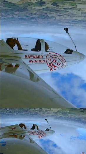 Aerobatic Maneuvers That Defy Physics #gliding #flight #insane