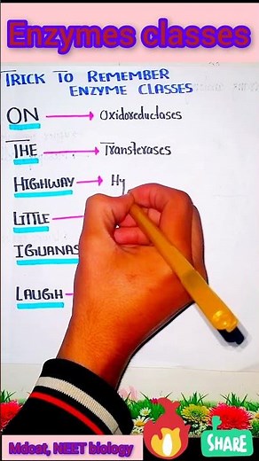 6 Enzyme Classes Explained with a Simple Trick 🚀 #biology #enzymekinetics #biochemistry