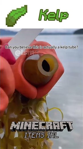 He was itchy. Minecraft Items In Real Life. #minecraftshorts #shorts #fail