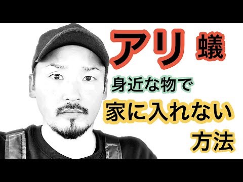 [Ants] Easy ways to prevent ant infestations using everyday items