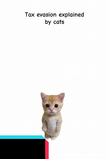 Kitty Explains Tax Evasion in a Fun Way