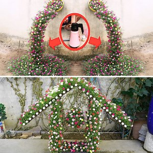 465K views · 4.1K reactions | These gardening techniques are amazing to decorate your backyard | DIY Balcony Garden | Facebook