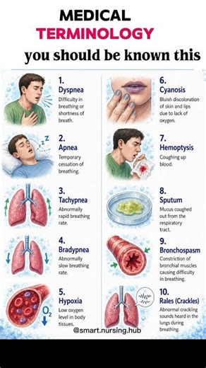 Breathe better, learn smarter! 🫁✨#RespiratorySystem #MedicalTerminology #NursingStudents #Medical