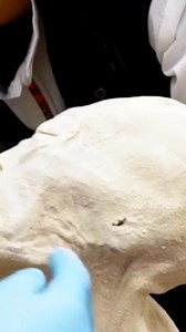 The Story of the Nazca Alien Mummies. The 3 fingered beings from Peru  #alien #fypppppppppppppppppppppppppppppppppppppppppppppppppppppppppppppppppppppp #fbyシvideo | Joy Boer | Facebook