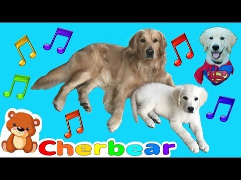 DOG SONG New KIDS SONGS Sing Along Fun with Our Super Dog and Our Super Girl Puppy