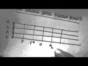 Learn Bluegrass Bass - The Notes on the Fingerboard