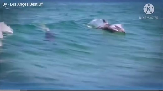 Générique Les Anges 6 #generique #lesanges