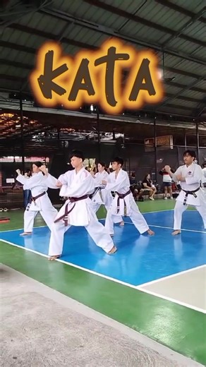 Their hard work shows in every stance and strike!👊 #karate #kata #martialarts #promotionday | Yeng N Yen