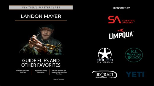 Landon Mayer: Guide Flies and Other Favorites