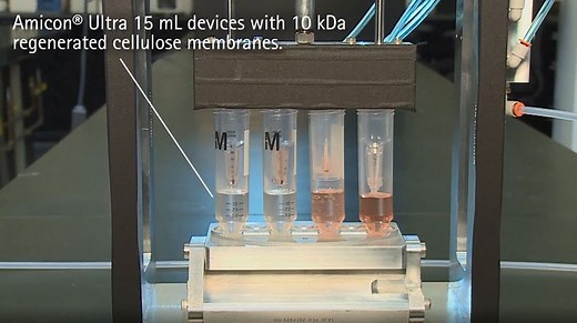 Amicon® Ultra filter membrane comparison