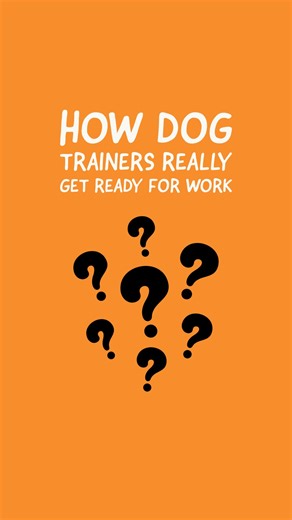 How dog trainers really get ready to start the day. Happy Halloween 😂 | Rat Pack Dog Services