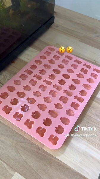 Frozen Fish Treat Recipe | Creative and Delicious FishTok Ideas