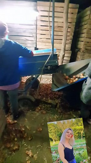 Explore Engaging Agricultural Activities on the Farm