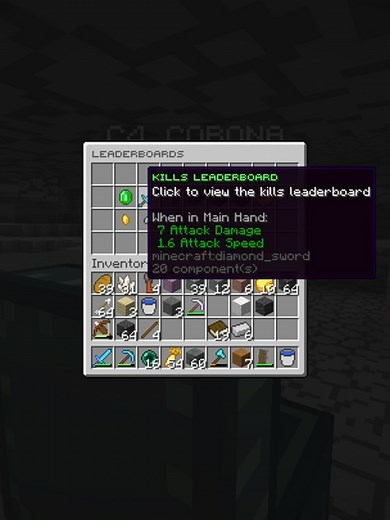 HRISA SMP Takeover: Leading the Kills Leaderboard