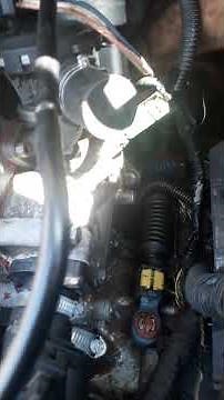 Como localizar Sensor de Rotação do xsara picasso 2.0 16v 2005 a 2012