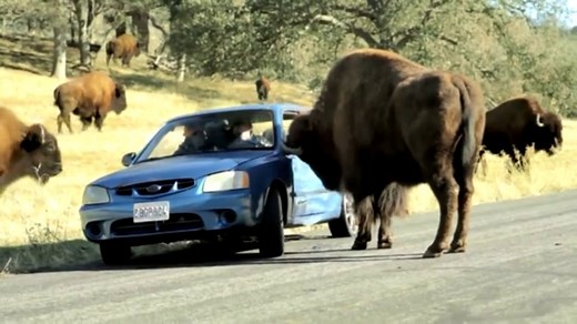 State Farm: "Magic Jingle: Buffalo"