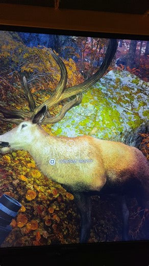 giant mule deer #thehuntercallofthewild