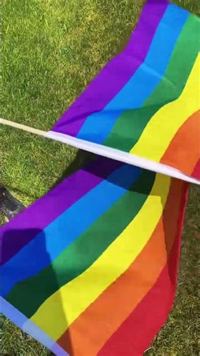 LGBTQ+ Handheld Flags for Pride Month 🏳️‍🌈