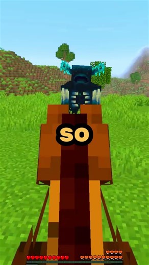 BEST Java & Bedrock Server #minecraft #shorts