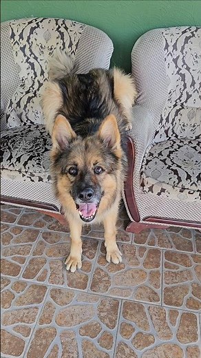 Mnie nie pytajcie, to jego pomysł