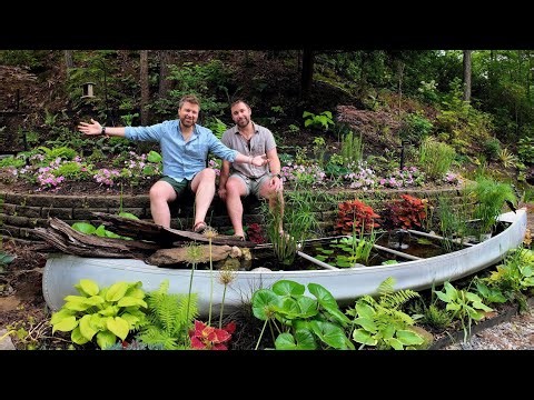 We Built a Canoe Pond 1 Year Ago... Did It Survive?