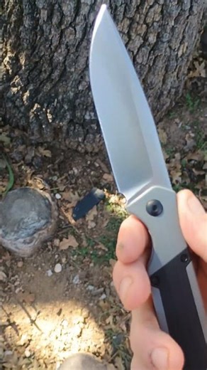 Kizer Knives Militaw Fixed Blade D2 Amazon Exclusive