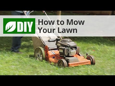 How to Mow a Lawn - Lawn Mowing Tips