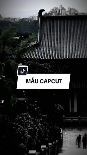#CapCut Cây không muốn lá rời cành khi lá vẫn còn xanh yêu đương #capcutmaster #xuhuong #nhachaymoingay