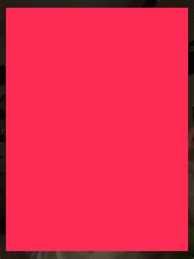 Nando the Alien and His Impressive Memory in Motorsports