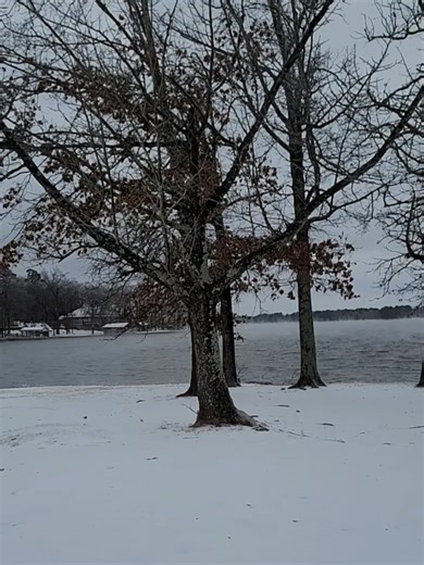 2026 Snowscape... #2026snow