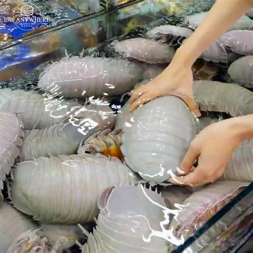 86K views · 482 reactions | Whole Giant Isopod | Eat Anywhere | Facebook