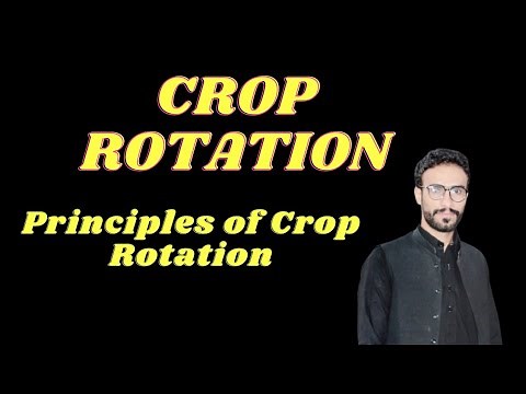 Crop Rotation / Principles of Crop Rotation