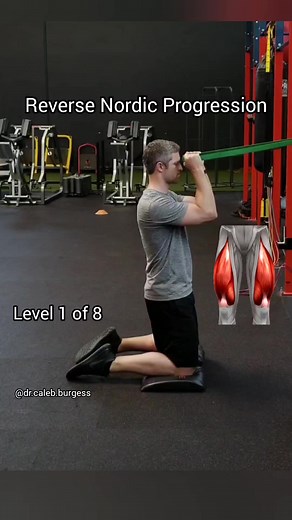 23K views · 370 reactions | Build Strong QUADS and Resilient KNEES!...