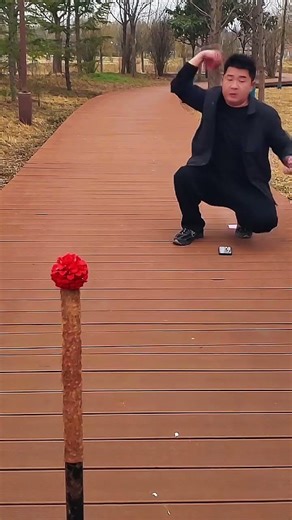 Flying Cards in the Fresh Spring Air 🌸 Amazing Card Throwing Tricks | Happy Springtime