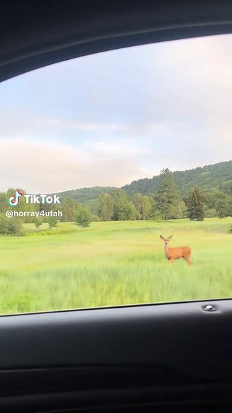 Scenic Drive Through Eden, Utah's Breathtaking Views