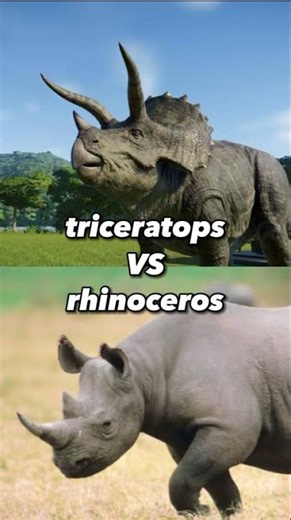 Triceratops VS Rhino #triceratops #rhino #dinosaur