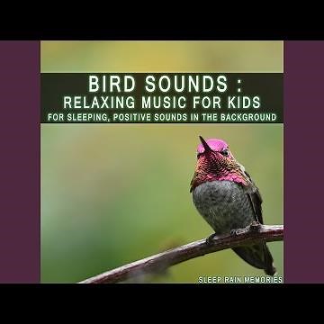 Chirping Bird Sounds