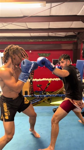 Thrilling MMA and Boxing Knockouts