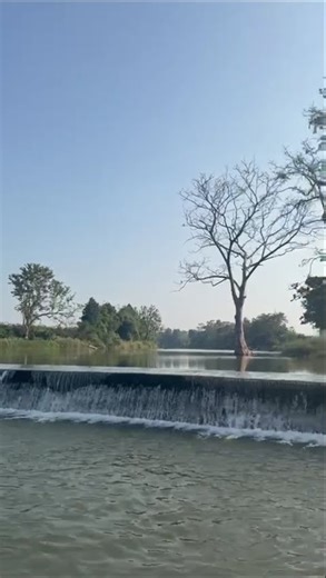 water flow 🌊#waterflow#warangal#medaram#forests#naturelovers #naturevibes #trading