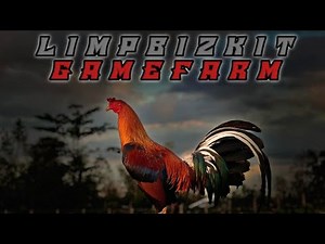 MATERIAL BREEDING DARI FARM MARK LIMPBIZKIT