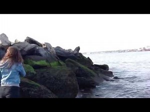 Low tide at Robbins Reef Lighthouse. May 11, 2016. (Courtesy of Roger Sherry)