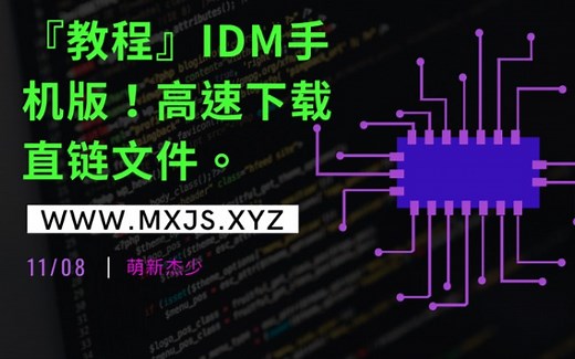 【教程】IDM手机版！高速下载直链文件