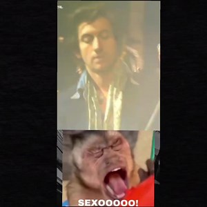 Yo viendo a los Arctic Monkeys en vivo! 🥵🥵🥵🔥🔥🔥 | Arctic Monkeys It's My Love
